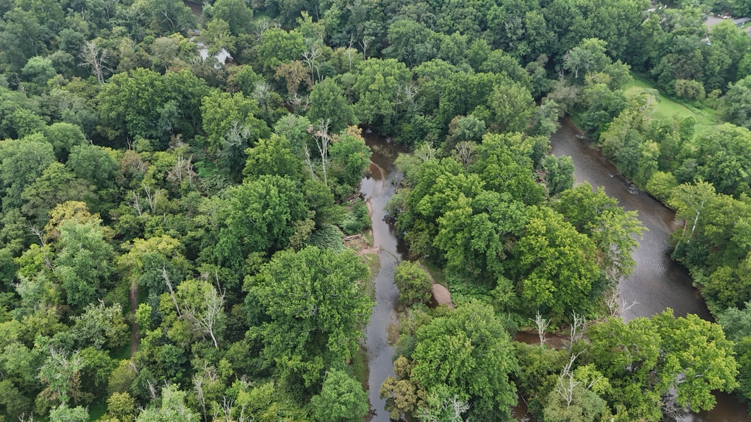 Aerial view of a wooded creek winding through dense green trees